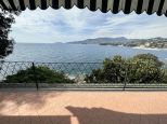 Villa il Pitosforo |  -  - 