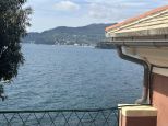 Villa il Pitosforo |  -  - 