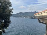 Villa il Pitosforo |  -  - 