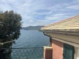 Villa il Pitosforo |  -  - 