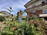 Villa Versilia |  -  - 