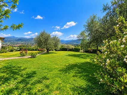 La Tenuta di Vezzano |  -  - 