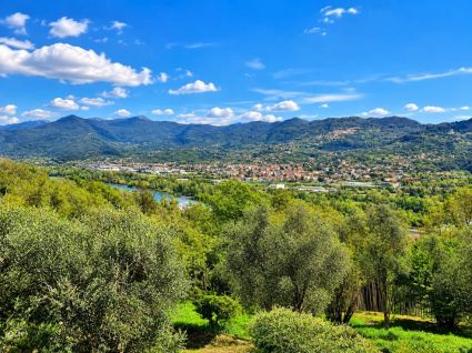 La Tenuta di Vezzano |  -  - 