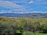 La Tenuta di Vezzano |  -  - 