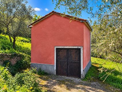 La Tenuta di Vezzano |  -  - 
