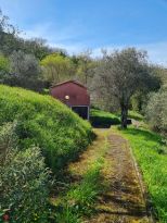 La Tenuta di Vezzano |  -  - 