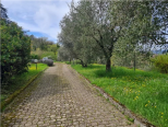 La Tenuta di Vezzano |  -  - 