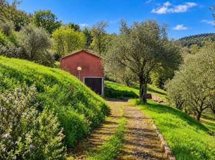 La Tenuta di Vezzano |  -  - 