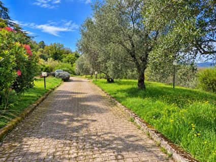 La Tenuta di Vezzano |  -  - 