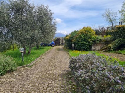 La Tenuta di Vezzano |  -  - 