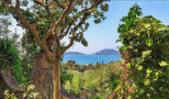 Antica Tenuta Picedi |  -  - 