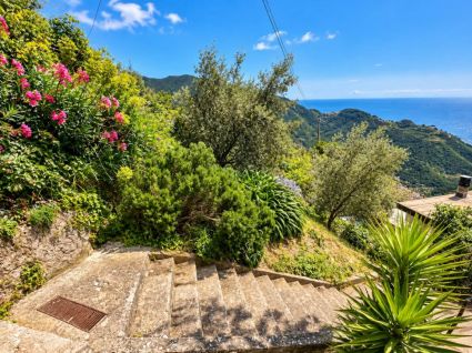 La Casa Baciata dal Sole |  -  - 