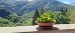 Casa Favale |  -  - 