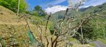 Casa Favale |  -  - 