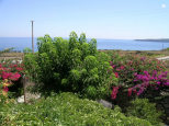 Tenuta il Sole di Pantelleria |  -  - 