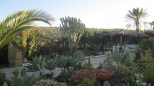Tenuta il Sole di Pantelleria |  -  - 