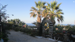Tenuta il Sole di Pantelleria |  -  - 