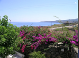 Tenuta il Sole di Pantelleria |  -  - 