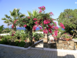 Tenuta il Sole di Pantelleria |  -  - 