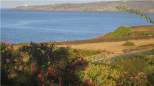 Tenuta il Sole di Pantelleria |  -  - 