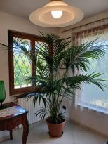 Villa Marasio |  -  - 