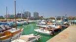 Appartamento il Sole di Riccione |  -  - 