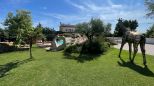 Antica Tenuta dei Mulini |  -  - 