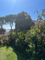 Casa Flaminia |  -  - 