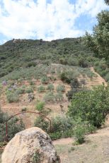 Tenuta Paradiso Villasimius |  -  - 