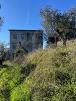La Tenuta della Colombiera |  -  - 