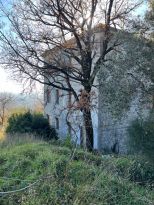 La Tenuta della Colombiera |  -  - 