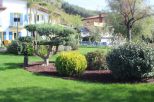 Tenuta Apuana |  -  - 
