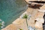 Tenuta Apuana |  -  - 