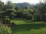 Tenuta Apuana |  -  - 