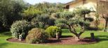 Tenuta Apuana |  -  - 