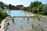 Tenuta Apuana |  -  - 