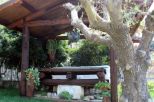 Tenuta Apuana |  -  - 