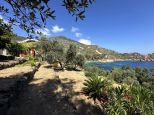 la Villa delle Stelle del Giglio |  -  - 