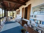 la Villa delle Stelle del Giglio |  -  - 