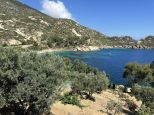 la Villa delle Stelle del Giglio |  -  - 