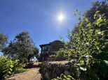 la Villa delle Stelle del Giglio |  -  - 
