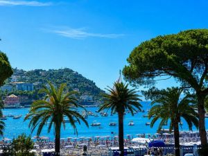 Liberty Frontemare di Rapallo |  -  - 