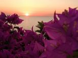 Villino la Terrazza sul Mare |  -  - 