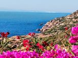 Villino la Terrazza sul Mare |  -  - 