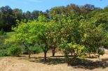 Villa Maria dell'Elba |  -  - 