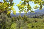 Villa Maria dell'Elba |  -  - 