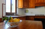 Villa Maria dell'Elba |  -  - 