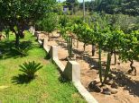 Villa il Giardino dell'Eden |  -  - 