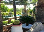 Villa il Giardino dell'Eden |  -  - 