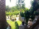 Villa il Giardino dell'Eden |  -  - 